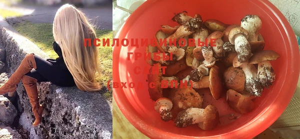 твердый Алзамай