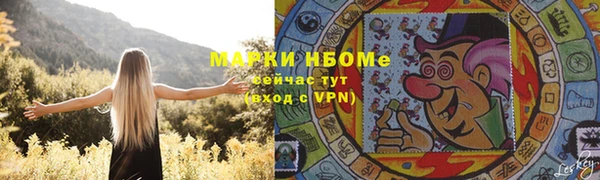 стафф Алексин