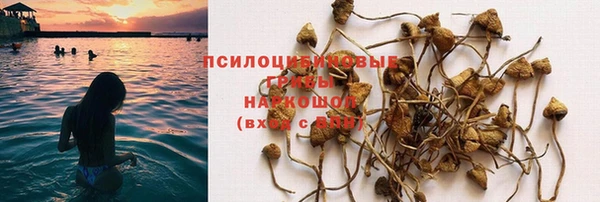 стафф Алексин