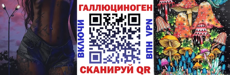 Галлюциногенные грибы Psilocybine cubensis  закладка  Фёдоровский 